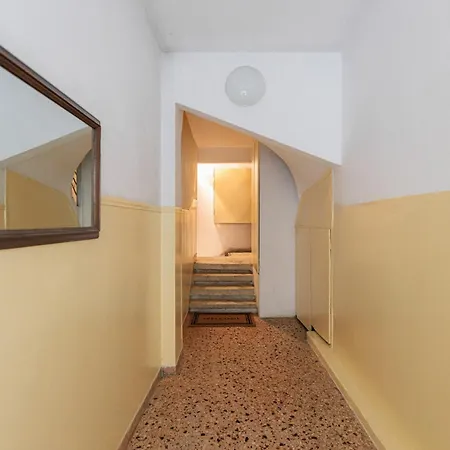 Foka's Nest * Soluň